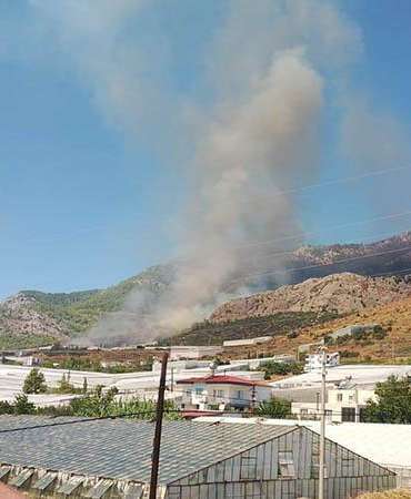 Mersin’de orman yangını