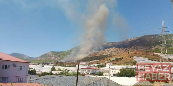 Mersin’de orman yangını