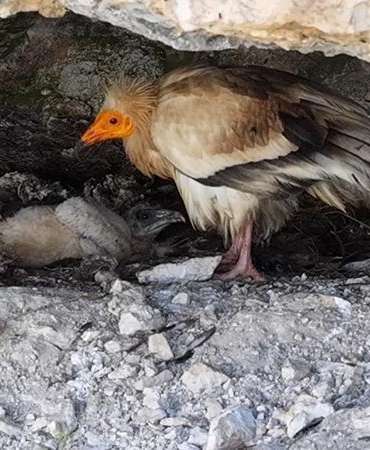 Cehennem Deresi Kanyonu