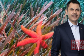 Bakan Kurum: Deniz çayırlarını yeniden güçlendiriyoruz