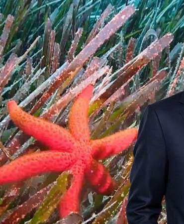 Bakan Kurum: Deniz çayırlarını yeniden güçlendiriyoruz