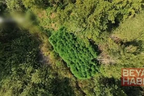 Sakarya’da kaçakçılık ve uyuşturucu operasyonu: 2 tutuklama