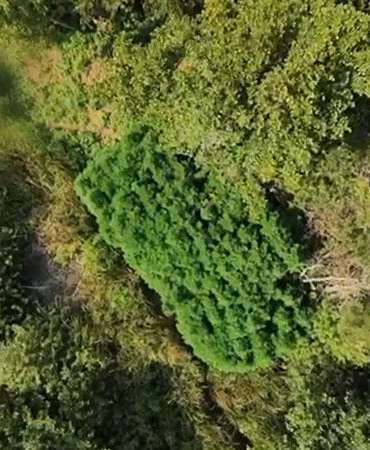 Sakarya’da kaçakçılık ve uyuşturucu operasyonu: 2 tutuklama