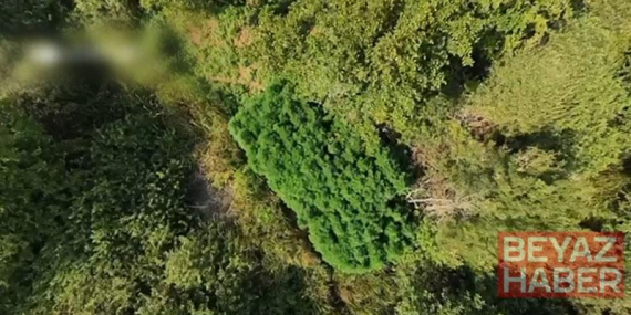 Sakarya’da kaçakçılık ve uyuşturucu operasyonu: 2 tutuklama