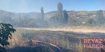 Yangında 7 dönüm tarım arazisi zarar gördü