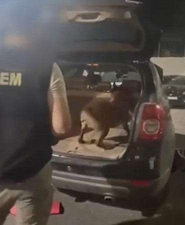 Kocaeli’de uyuşturucu operasyonu: 6 şüpheli tutuklandı