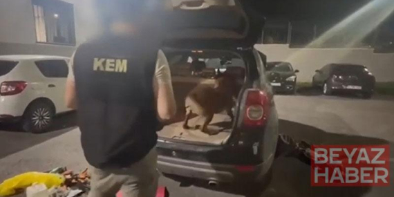 Kocaeli’de uyuşturucu operasyonu: 6 şüpheli tutuklandı