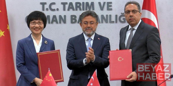Türkiye ile Çin arasında defne ihracatı protokolü