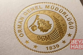 OGM: Antalya Aksu ve Adana Kozan da meydana gelen yangınları kontrol altına aldık