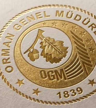 OGM: Antalya Aksu ve Adana Kozan da meydana gelen yangınları kontrol altına aldık
