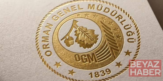 OGM: Antalya Aksu ve Adana Kozan da meydana gelen yangınları kontrol altına aldık