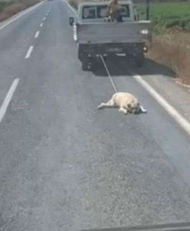 Köpeği kamyonetin arkasına bağlayıp sürükleyerek götürdü