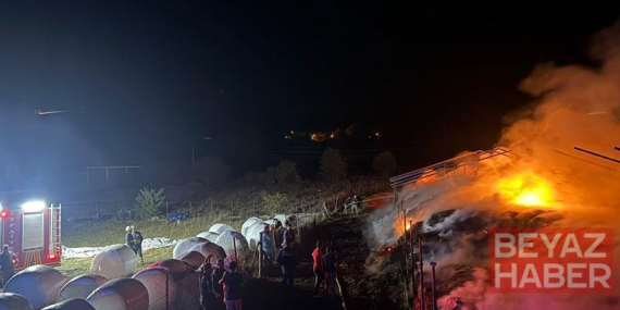 3 bin balya ot yandı, 10 ton buğday kurtarıldı