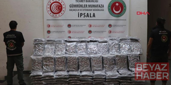 İpsala ve Hamzabeyli gümrük kapılarında 147 kilo skunk ve 27 kilo kokain ele geçirildi