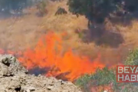 Tunceli’de örtü yangını