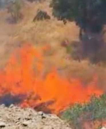 Tunceli’de örtü yangını