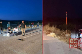 Avrupa turuna çıkan Fransız kadın, motosikletiyle koyunlara çarpıp yaralandı