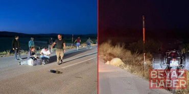 Avrupa turuna çıkan Fransız kadın, motosikletiyle koyunlara çarpıp yaralandı