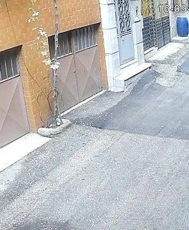 Kedilerin mama kaplarını çöpe atıp, sularını döken baba-oğul kamerada