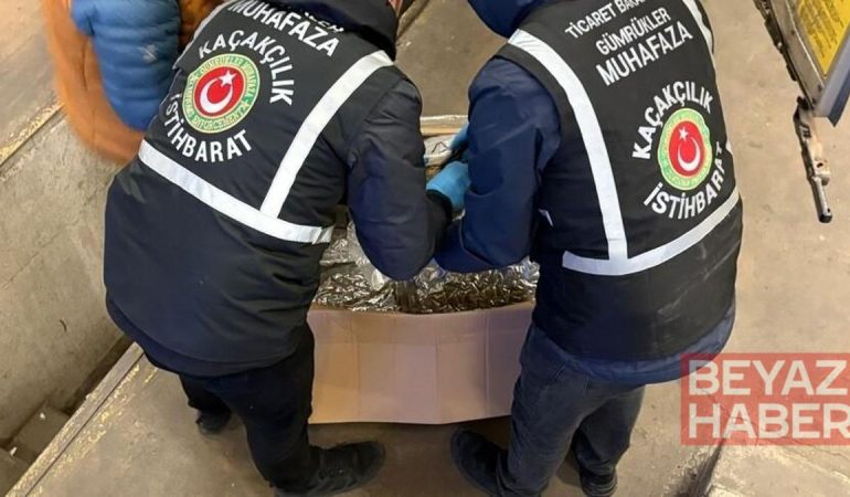 Gümrüklerde kaçakçılık operasyonları: 81,9 milyar liralık eşya ve uyuşturucu yakalandı