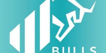 Bulls Portföy Yönetimi A.Ş
