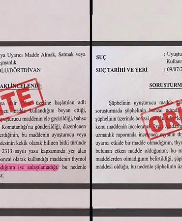 ‘Neyin kafasını yaşadığı anlaşılamadı’ ifadeli savcılık kararı iddiasına soruşturma
