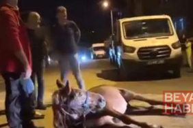 Ata şiddet uygulandığı iddiası; 2 şüpheli gözaltında
