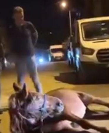 Ata şiddet uygulandığı iddiası; 2 şüpheli gözaltında