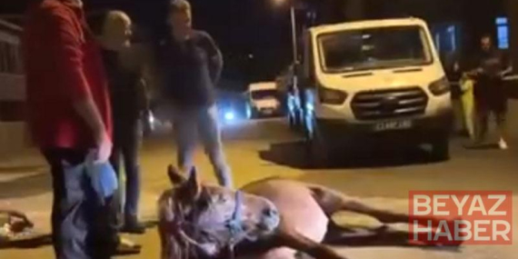 Ata şiddet uygulandığı iddiası; 2 şüpheli gözaltında
