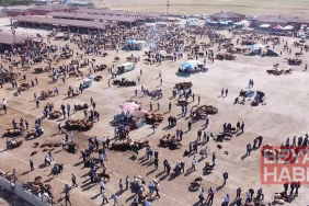 Ağrı Hayvan Borsası 30 gün süreyle kapatıldı