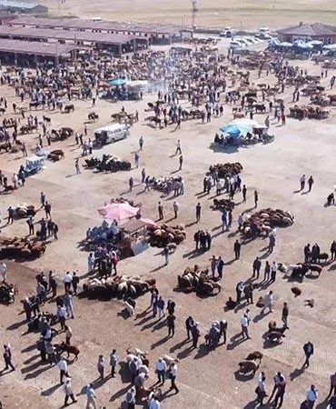 Ağrı Hayvan Borsası 30 gün süreyle kapatıldı