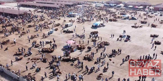 Ağrı Hayvan Borsası 30 gün süreyle kapatıldı