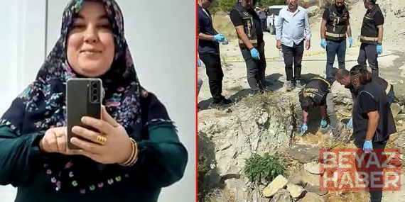 Kayıp Ayşegül