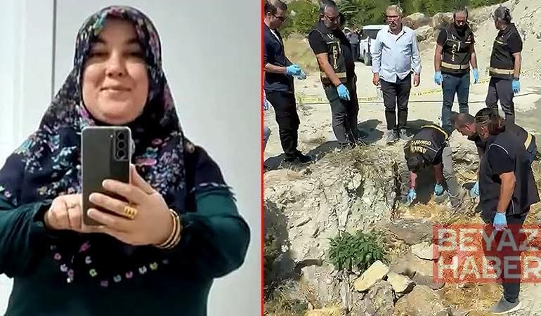 Kayıp Ayşegül