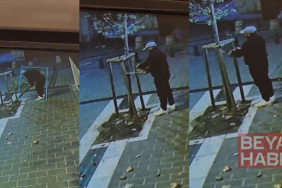 Fatih’te kuyumcunun önündeki ağacın kesildiği anlar kamerada