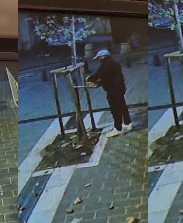Fatih’te kuyumcunun önündeki ağacın kesildiği anlar kamerada