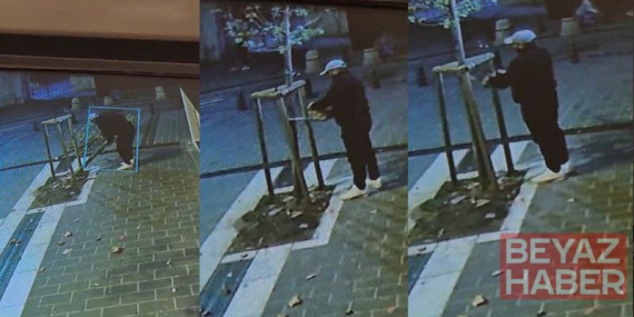 Fatih’te kuyumcunun önündeki ağacın kesildiği anlar kamerada