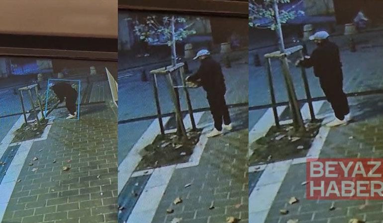 Fatih’te kuyumcunun önündeki ağacın kesildiği anlar kamerada