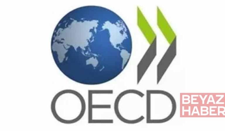 OECD, 2026 küresel büyüme tahminini yüzde 2,9’a yükseltti