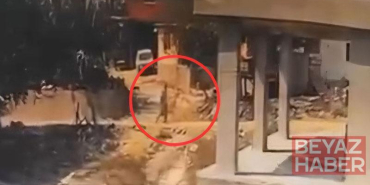İnşaatta yatan köpeğe sopayla şiddet uyguladı; o anlar kamerada