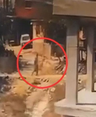 İnşaatta yatan köpeğe sopayla şiddet uyguladı; o anlar kamerada