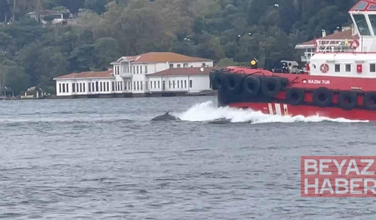 İstanbul Boğazı