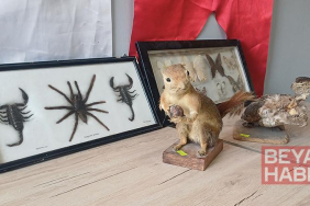 İş yerinde hayvan tahnitlerini satarken yakalandı