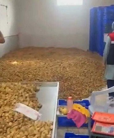 İncir işletmesinde 25 ton etiketsiz ürün ele geçirildi
