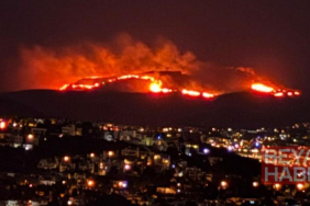 Bodrum’da maki ve ot yangını