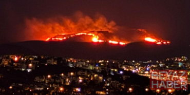 Bodrum’da maki ve ot yangını
