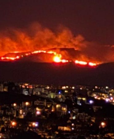 Bodrum’da maki ve ot yangını