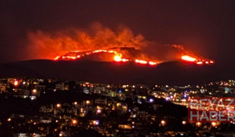 Bodrum’da maki ve ot yangını