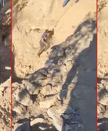 Aydın’da çilek bahçesinde kaçak kazıya suçüstü: 6 gözaltı