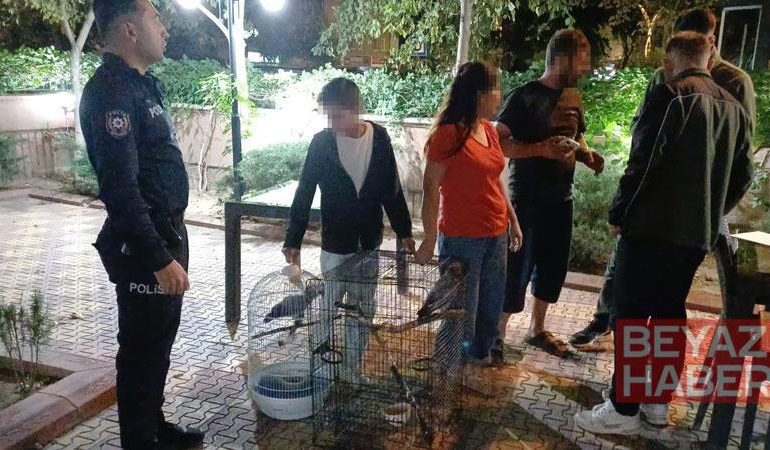 Belgesiz Afrika gri papağanı satışına 30 bin TL ceza